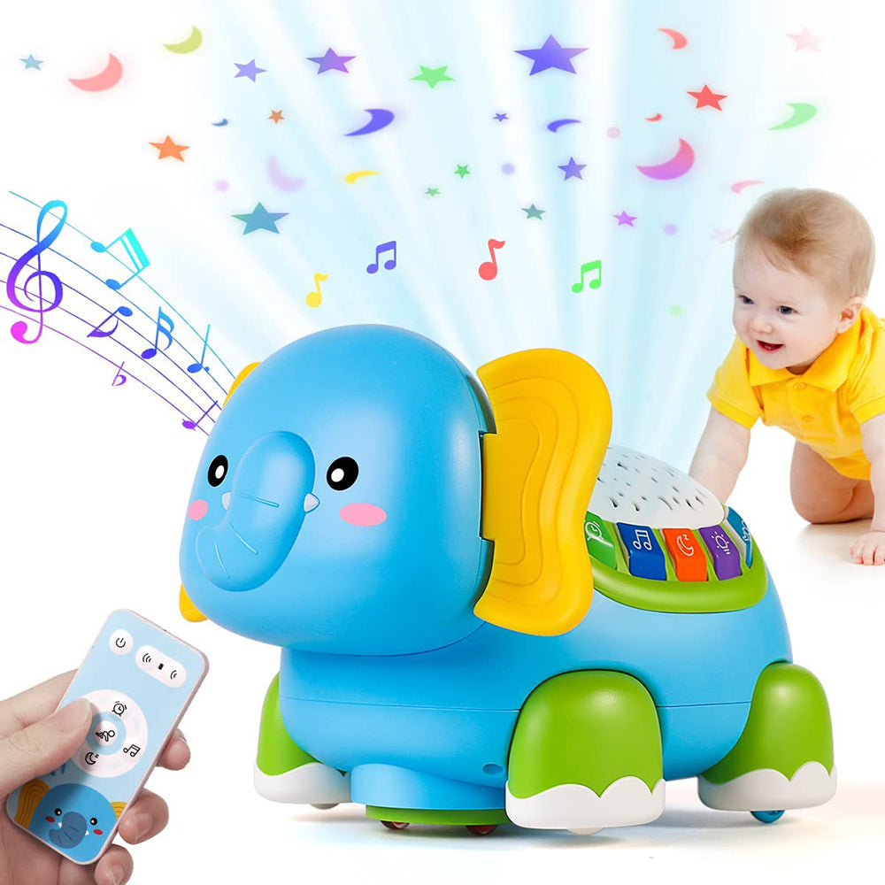 Melodic Turtle Adventure: Early Learning Music Toy for Infants and Toddlers