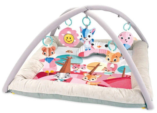 Baby Play Mat Activity Gym