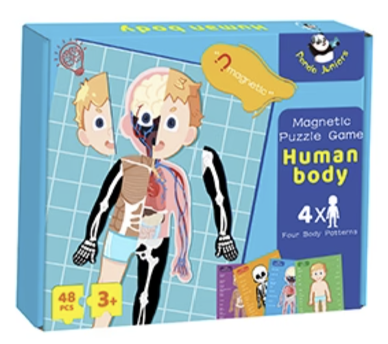 Magnetic Puzzle Human Body 48 Pcs