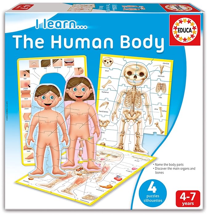 The Human Body 4 Puzzle