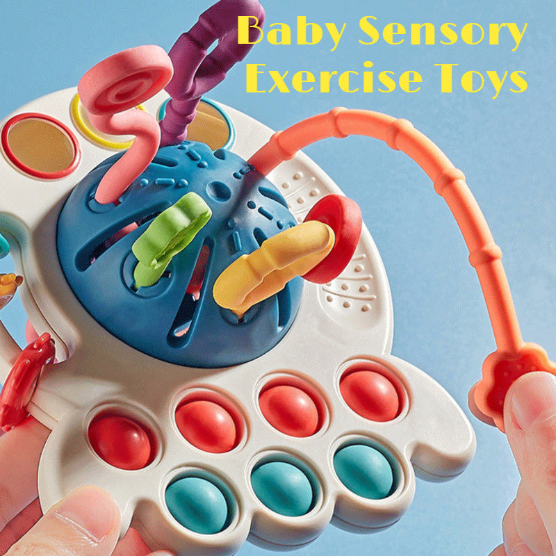 Sensory Development Toy: Early Learning Fun for Babies