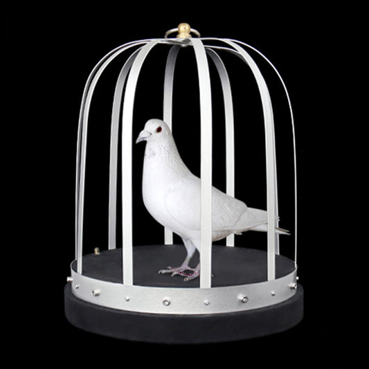 Dove Appearing from Empty Fire Cage - Stage Magic Tricks